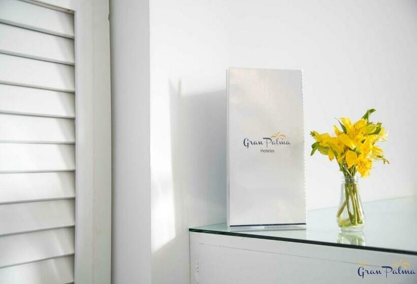 غرفة قياسية, Gran Palma Huancayo