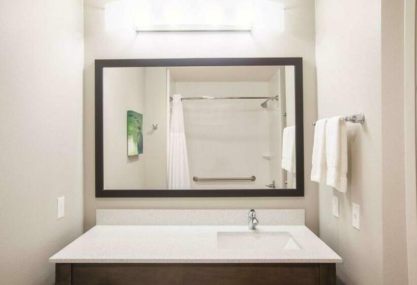 غرفة قياسية, La Quinta By Wyndham Tulsa Broken Arrow