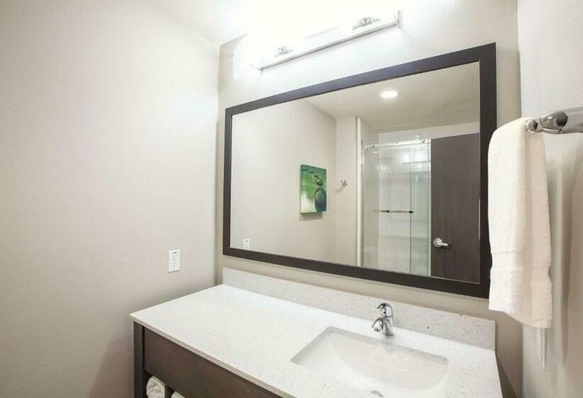 Стандартный Номер Кровать Кинг, La Quinta By Wyndham Tulsa Broken Arrow