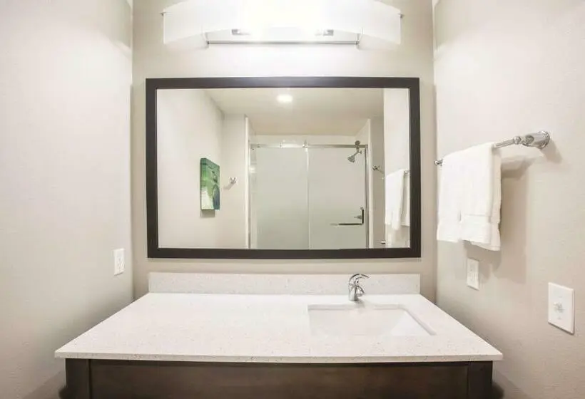 キングサイズベッドのエクゼクティブルーム, La Quinta By Wyndham Tulsa Broken Arrow