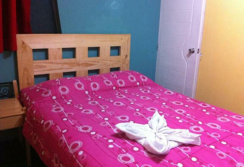 Standard Szoba, Plateros