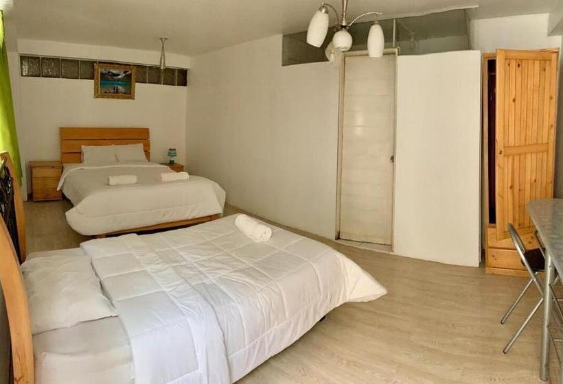 Standard Szoba, Plateros