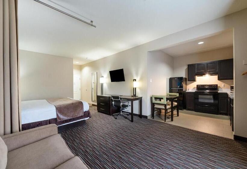 חדר דלוקס עם מיטת קינג, Residency Suites