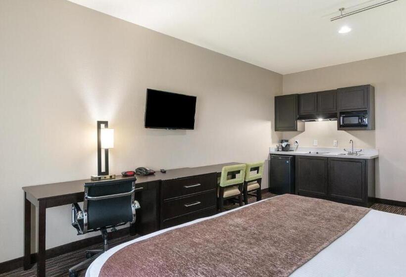 Студия Deluxe, Residency Suites