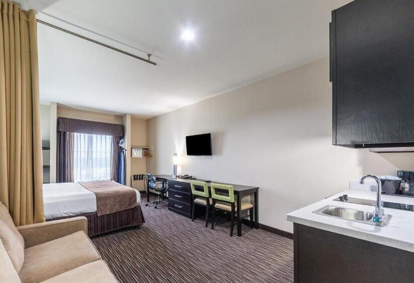 סטודיו דלוקס, Residency Suites