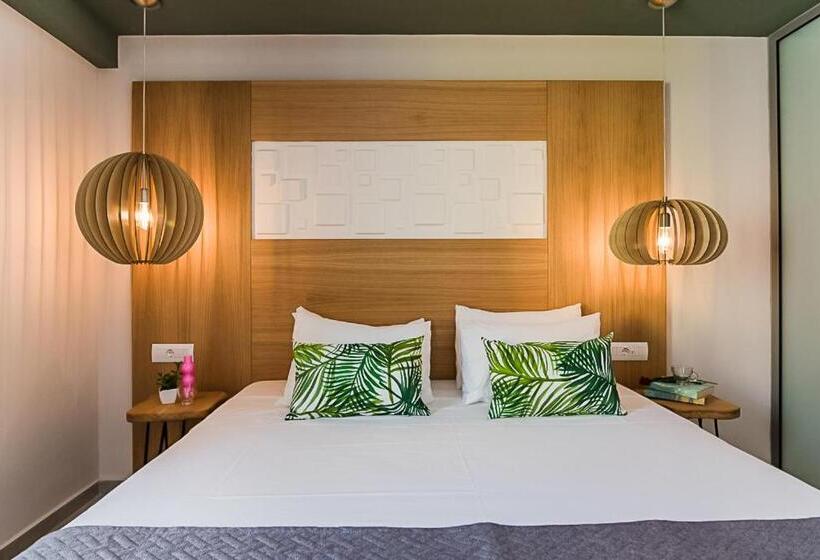 غرفة إقتصادية, Sunshine Studios