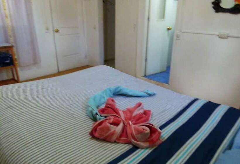 Standardrum, The Grasshopper Hostel