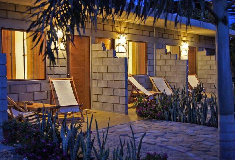 Номер Стандарт, Aquamarinn