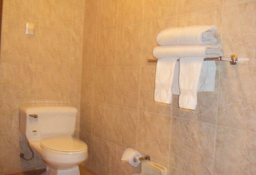 スタンダードシングルルーム, Mosoq Inn