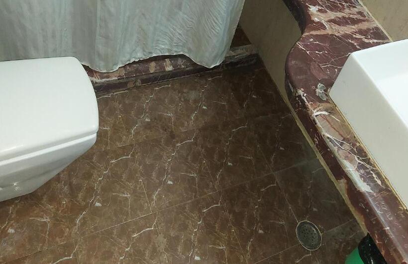 Люкс, Laxmi Villa Palace