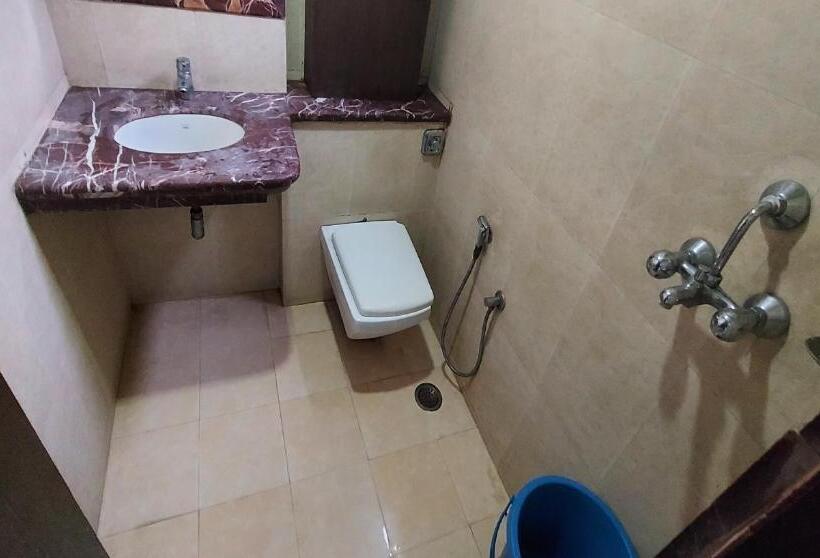 Люкс, Laxmi Villa Palace