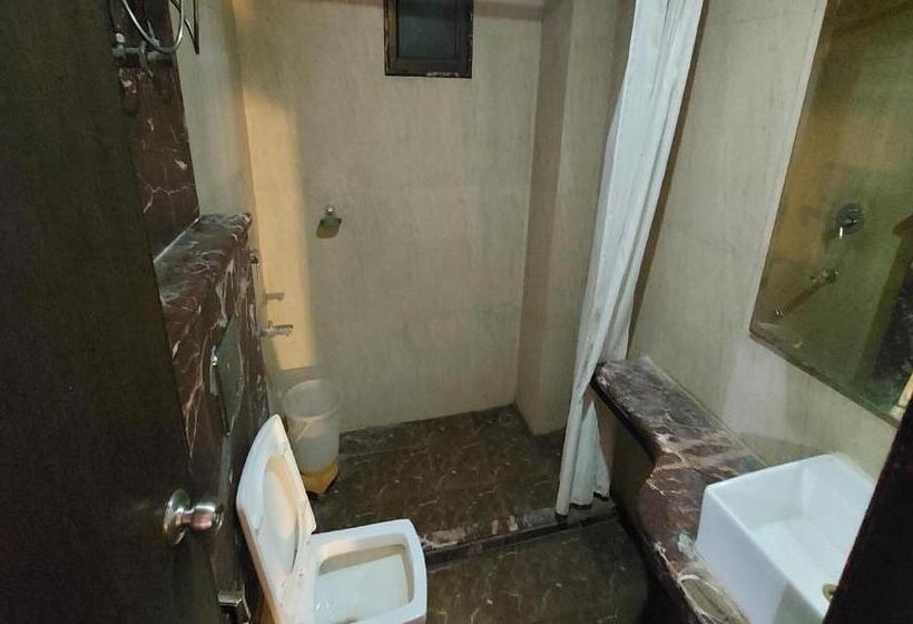 Люкс, Laxmi Villa Palace