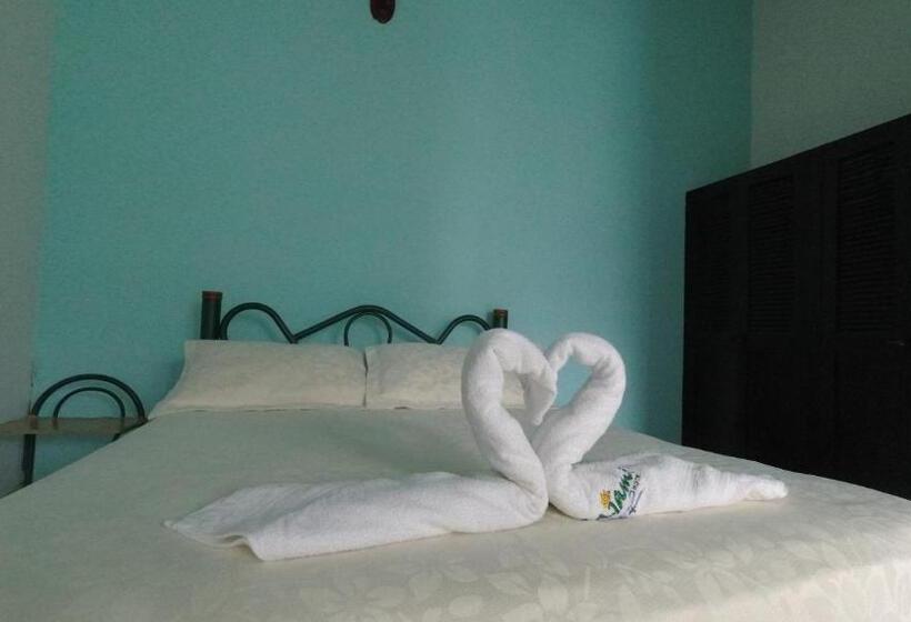 اتاق استاندارد, Miami En Melgar