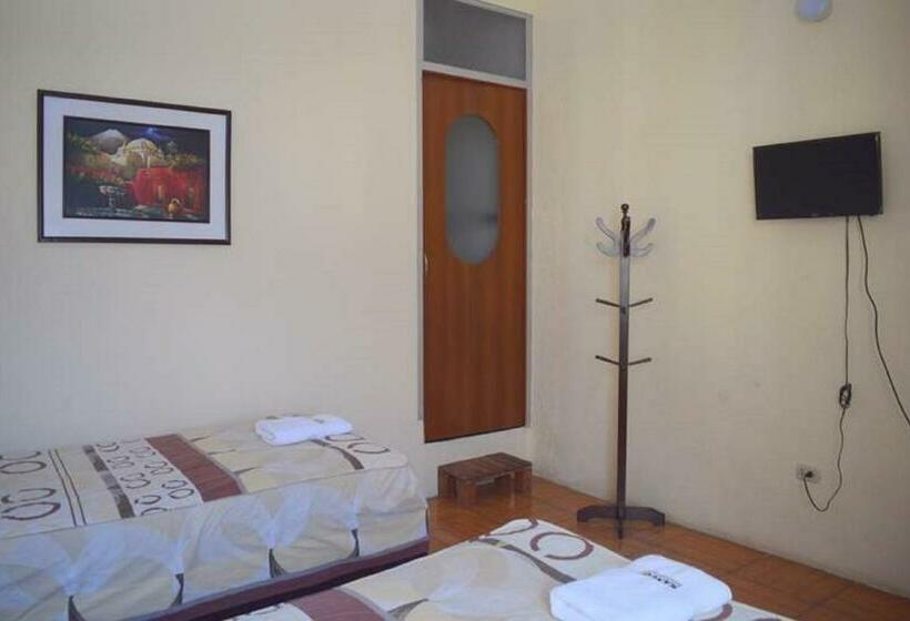 חדר סטנדרט, Mango Hostel B&b