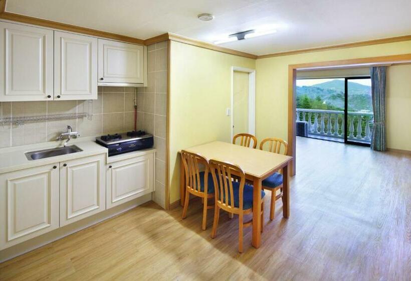 اتاق لوکس, Hanwha Resort Baegam Hot Springs