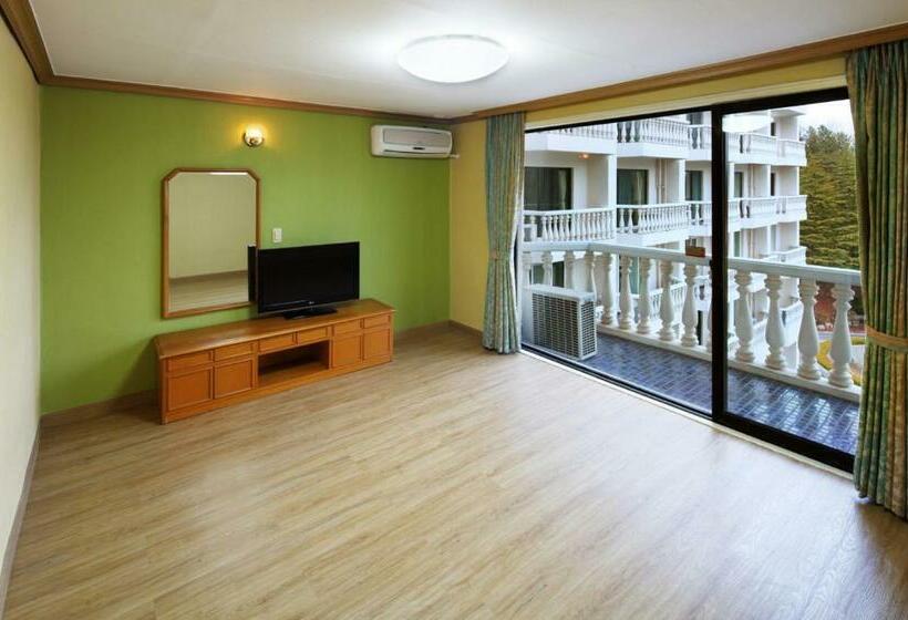 اتاق لوکس, Hanwha Resort Baegam Hot Springs