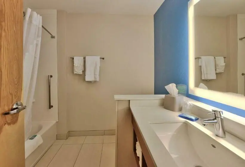 スタンダードルーム, Holiday Inn Express & Suites   Roswell, An Ihg