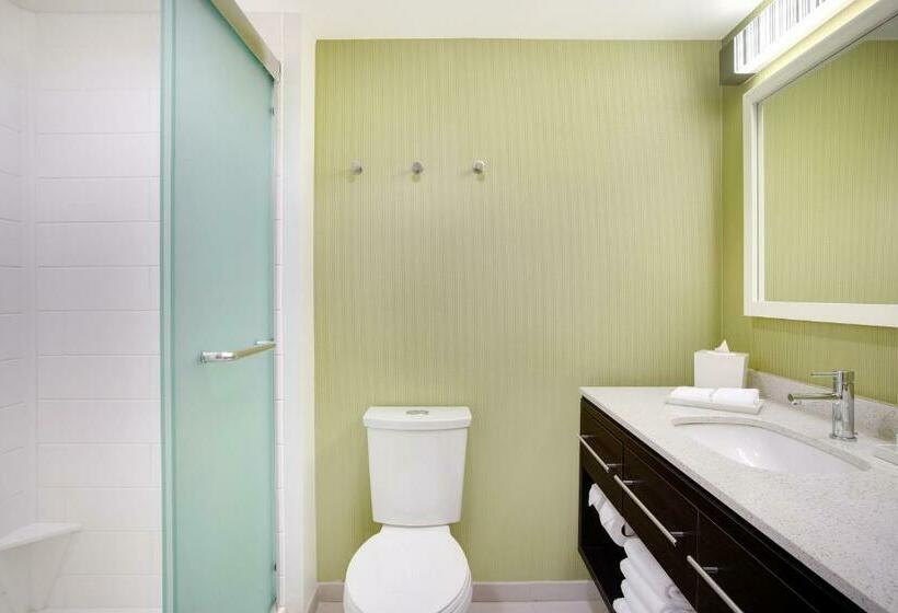 استودیوی استاندارد, Home2 Suites By Hilton Chicago/schaumburg, Il