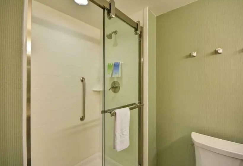 キングサイズベッドのデラックススイート, Home2 Suites By Hilton  St. Simons Island