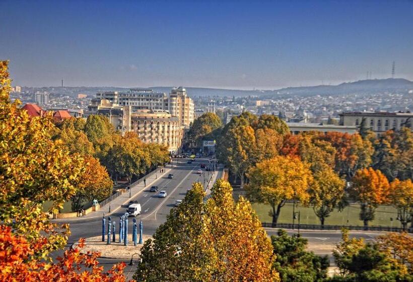 اتاق استاندارد با چشمانداز شهر, Margo Palace