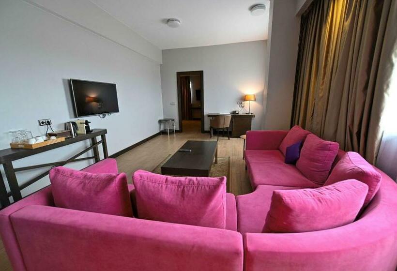 高级套房, Radisson Blu Hotel, Abidjan Airport