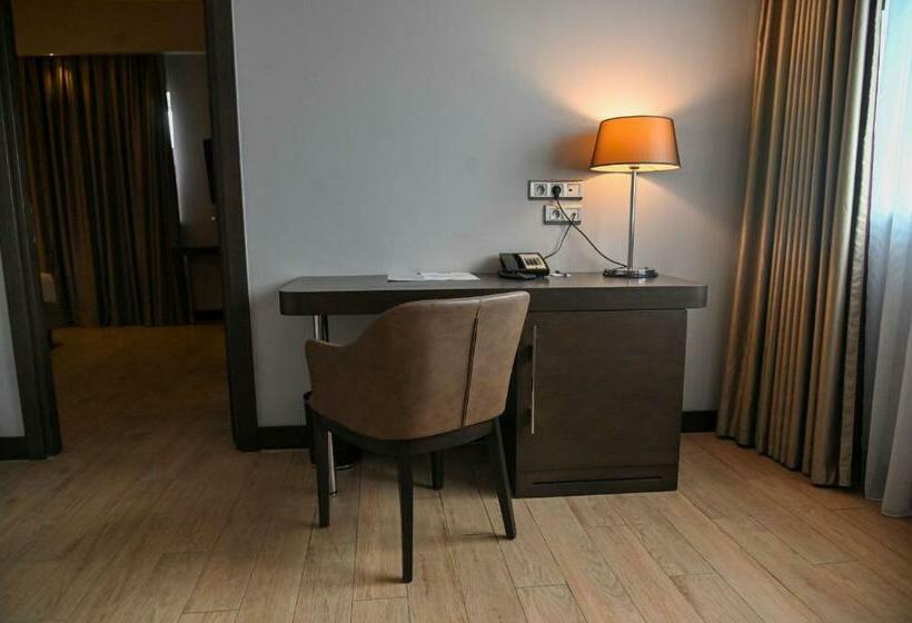 高级套房, Radisson Blu Hotel, Abidjan Airport