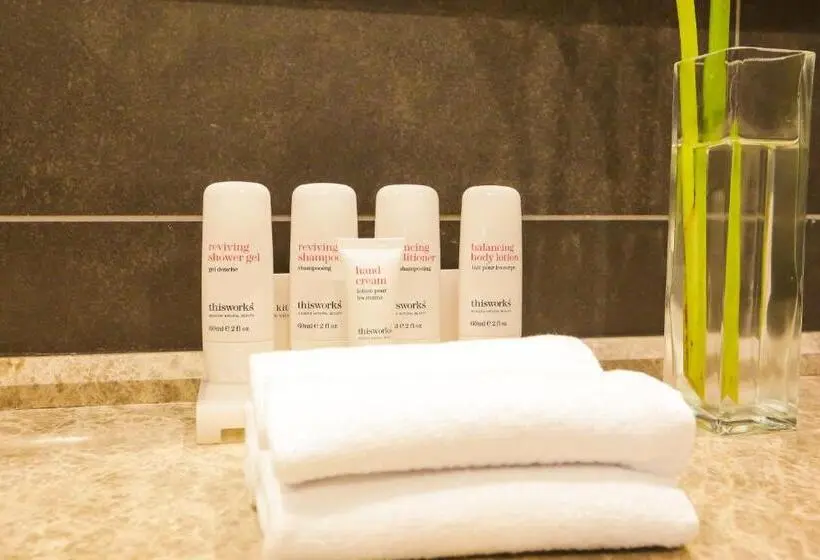 سوئیت پرزیدنت, Radisson Blu Hotel, Abidjan Airport