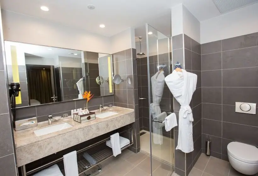 اتاق سوپریور, Radisson Blu Hotel, Abidjan Airport