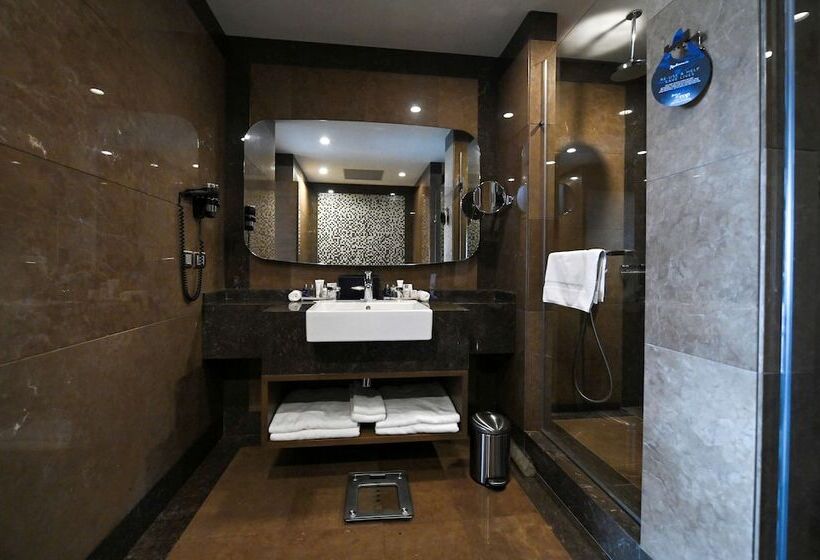 小型套房, Radisson Blu Hotel, Abidjan Airport