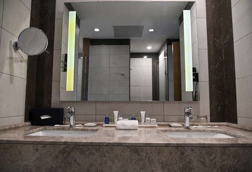 小型套房, Radisson Blu Hotel, Abidjan Airport