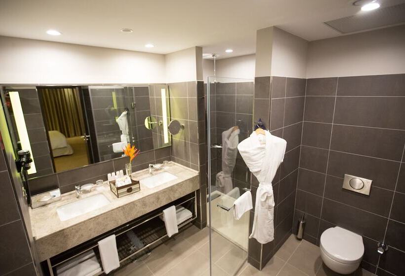 带花园景观高级房间, Radisson Blu Hotel, Abidjan Airport