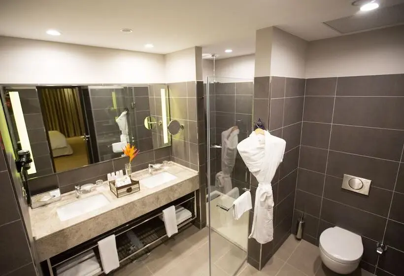 اتاق پریمیوم با چشمانداز باغ, Radisson Blu Hotel, Abidjan Airport