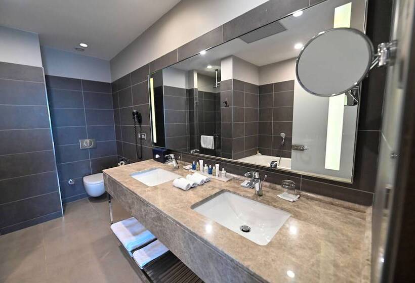 高级套房, Radisson Blu Hotel, Abidjan Airport