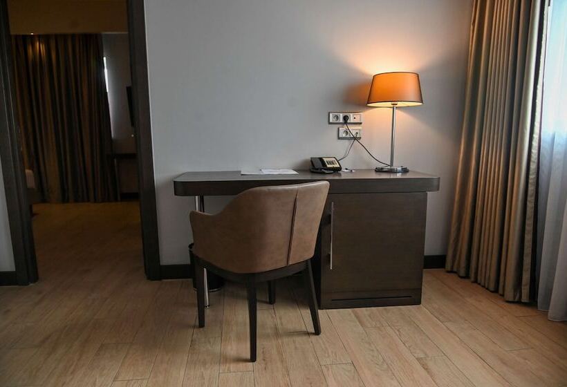 高级套房, Radisson Blu Hotel, Abidjan Airport