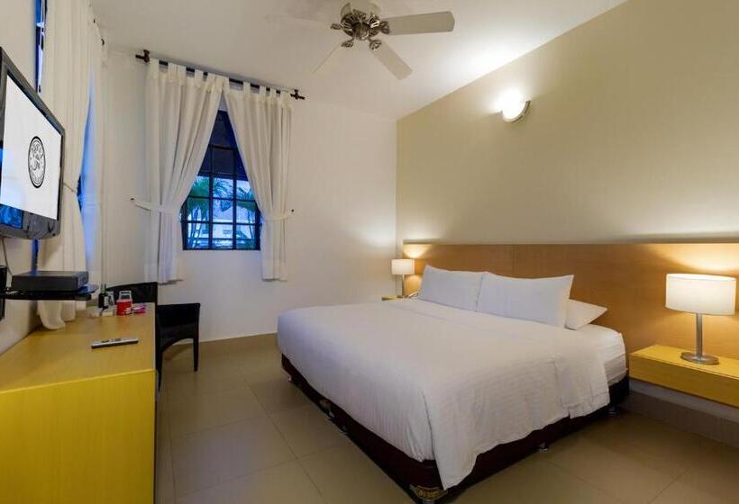 스탠다드 룸 킹사이즈 침대, Republicano 1910