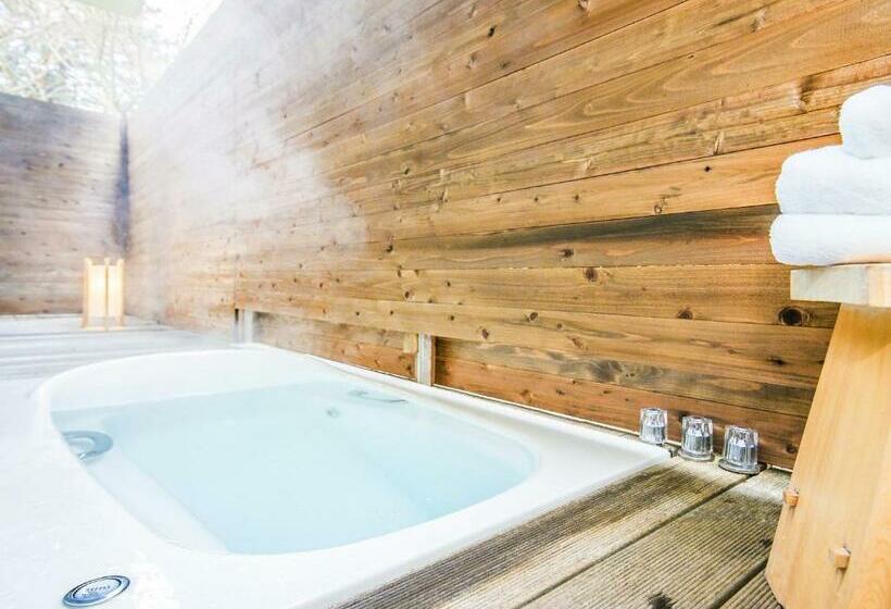 スーペリアールーム, Tkp Lectore Hakone Gora