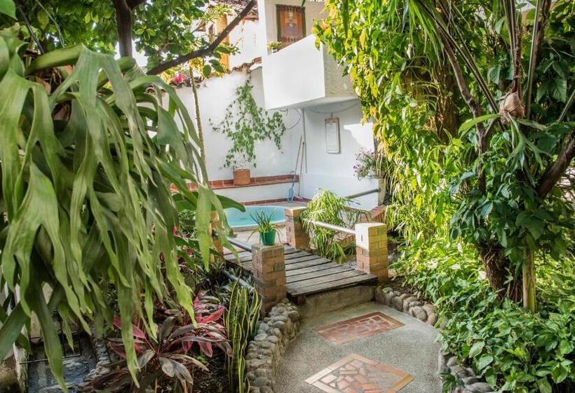 חדר סטנדרט חדר אמבטיה משותף, Macondo Hostel