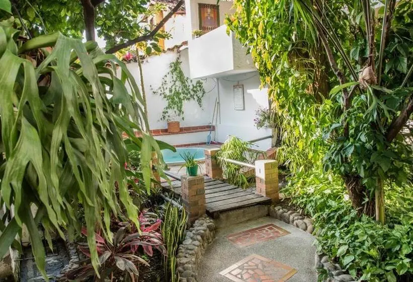 Standard-huone Jaettu Kylpyhuone, Macondo Hostel