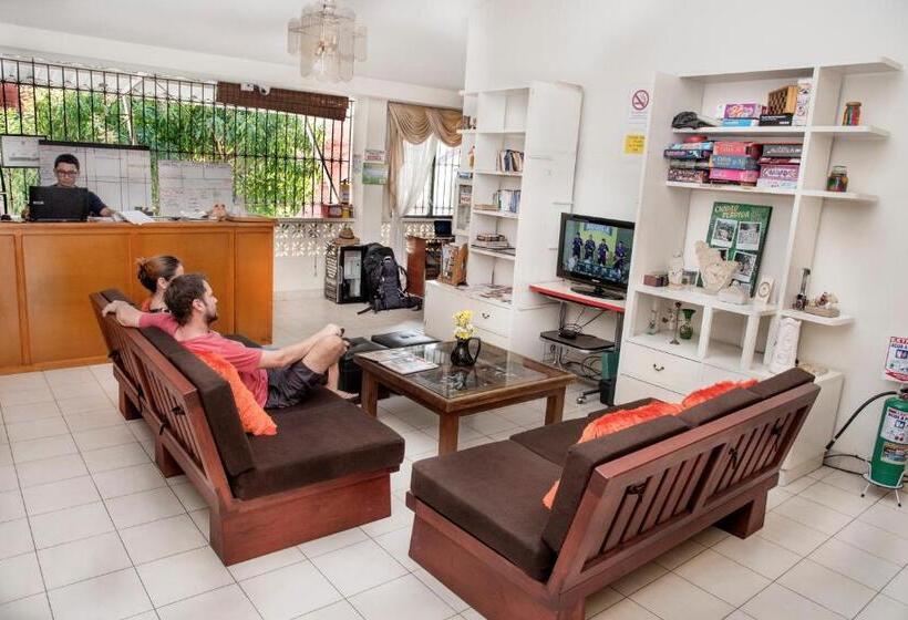 חדר סטנדרט חדר אמבטיה משותף, Macondo Hostel