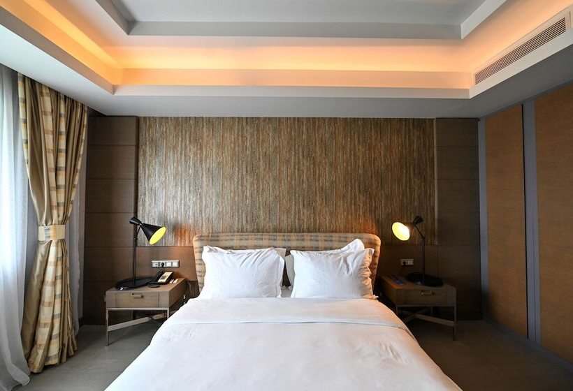 总统套房, Radisson Blu Hotel, Abidjan Airport