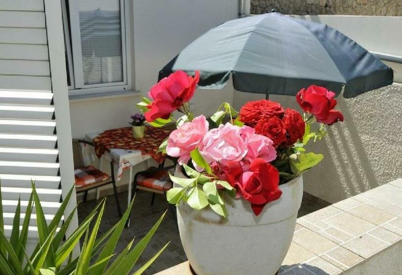 آپارتمان 1 خوابه با چشم‌انداز باغ, Villa Katarina
