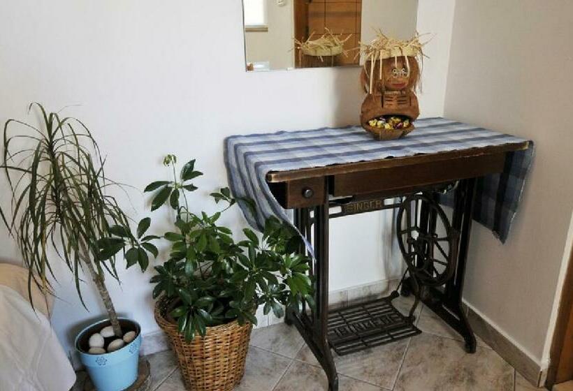 آپارتمان 1 خوابه با چشم‌انداز باغ, Villa Katarina