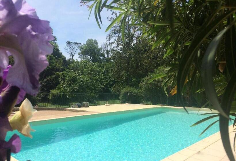 Номер Стандарт, Chateau Pech Céleyran