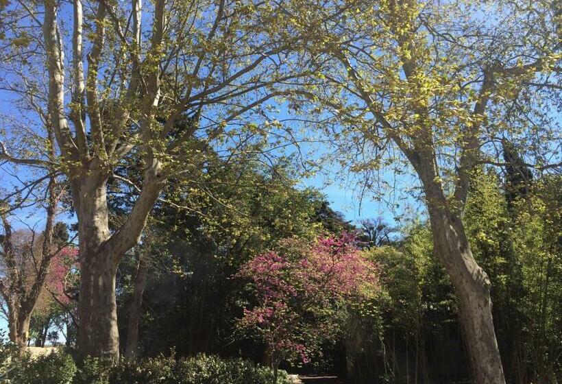 Номер Deluxe, Chateau Pech Céleyran