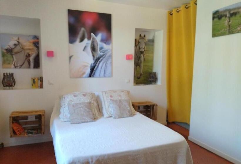 غرفة قياسية مطلّة علي الحديقة, Mas De Bellegou