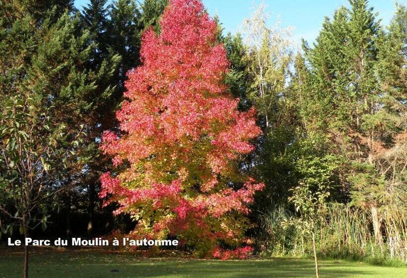 غرفة قياسية, Moulin De Rioupassat Chambres D'hôtes De Charme