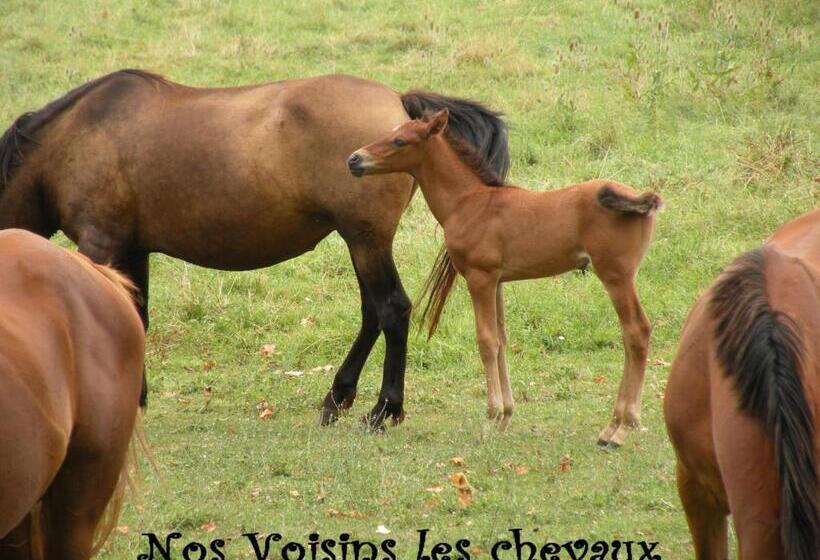 غرفة قياسية, Moulin De Rioupassat Chambres D'hôtes De Charme