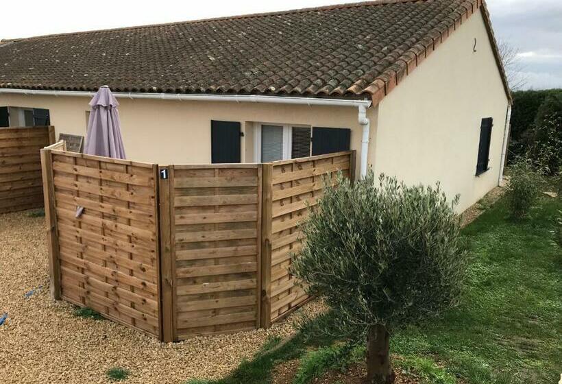 סטודיו סופריור, Cosystudio Site Du Futuroscope