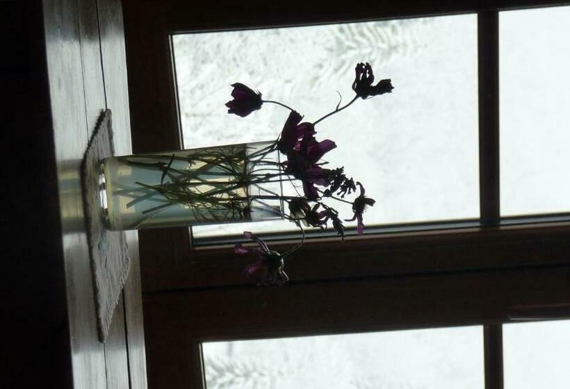 标准间, La Chouette à L'heure Du Pinson