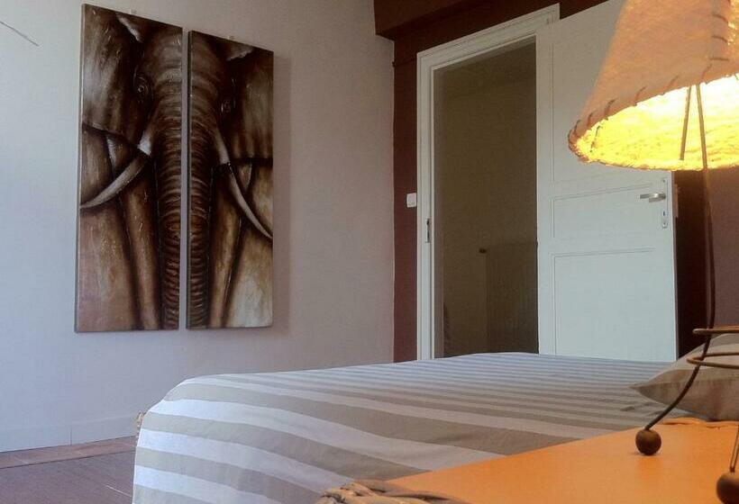 スタンダードルーム, La Cigaline